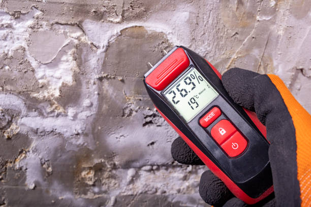 Best Mold Testing  in Broadway, NC