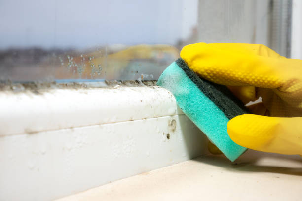 Best Emergency Mold Removal  in Broadway, NC
