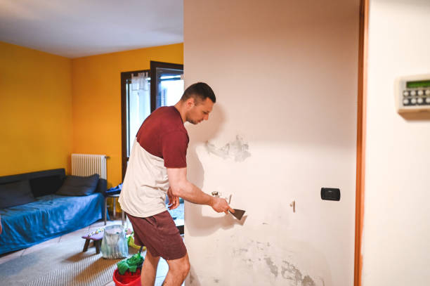 Best Same-Day Mold Removal  in Broadway, NC